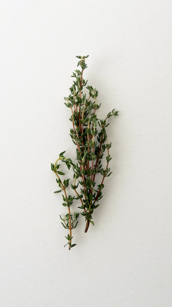 Thyme